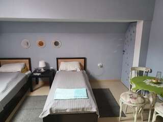 Гостевой дом Rooms Lagat Троян Двухместный номер с 2 отдельными кроватями-2